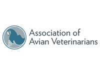 AAV logo